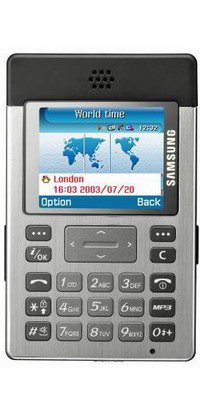 Samsung P300 